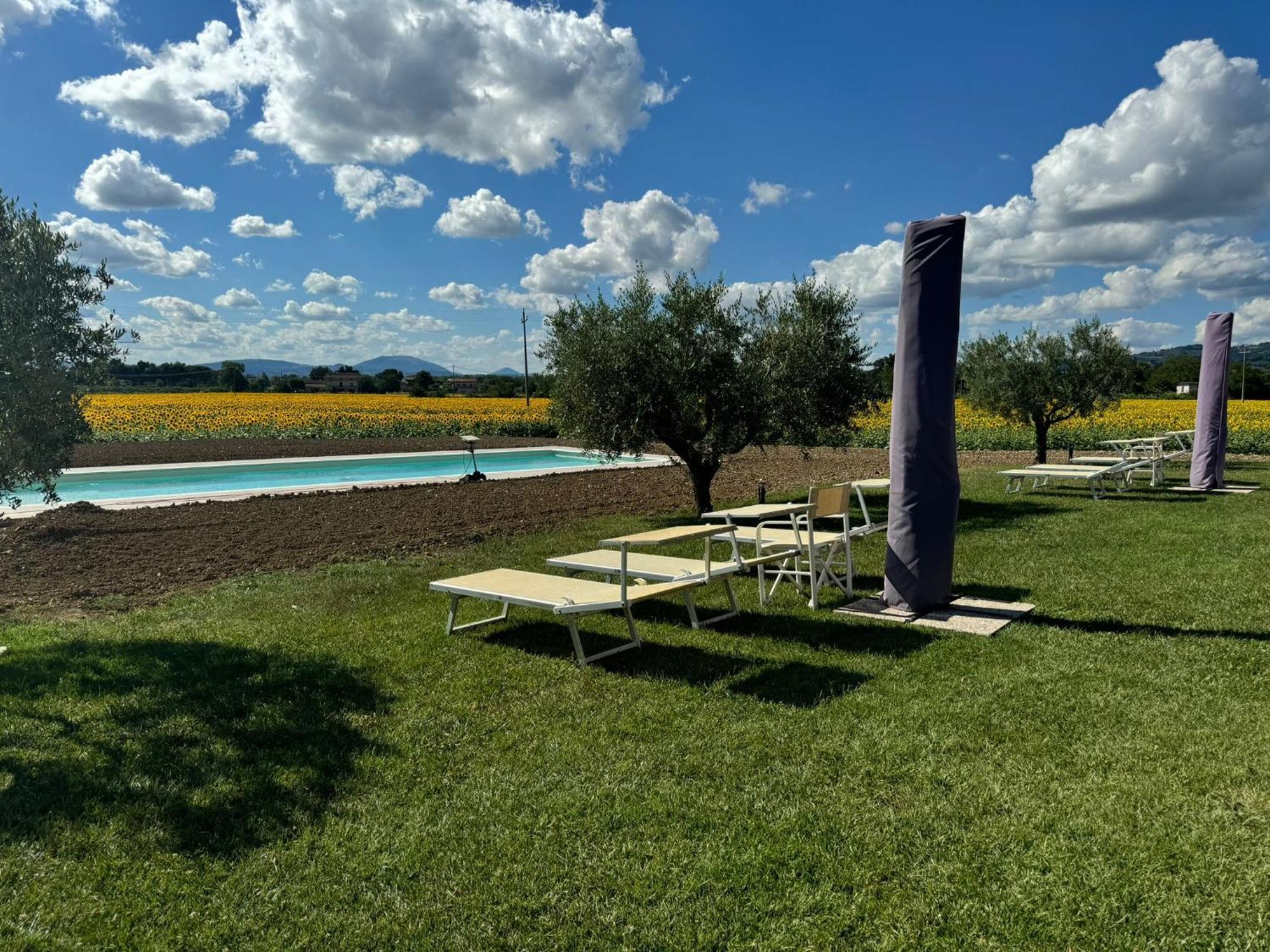 Assisium Agriturismo Екстер'єр фото
