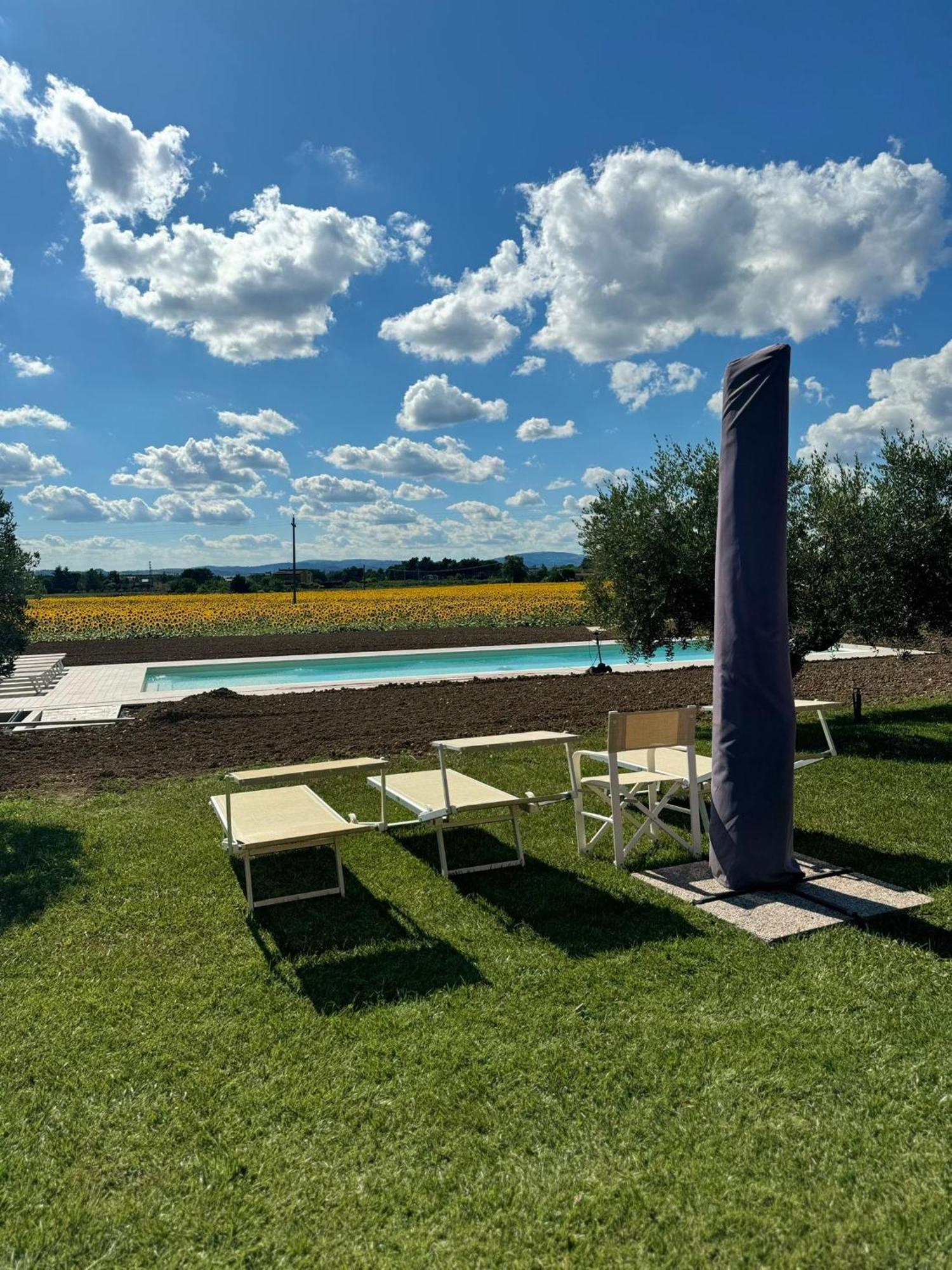 Assisium Agriturismo Екстер'єр фото