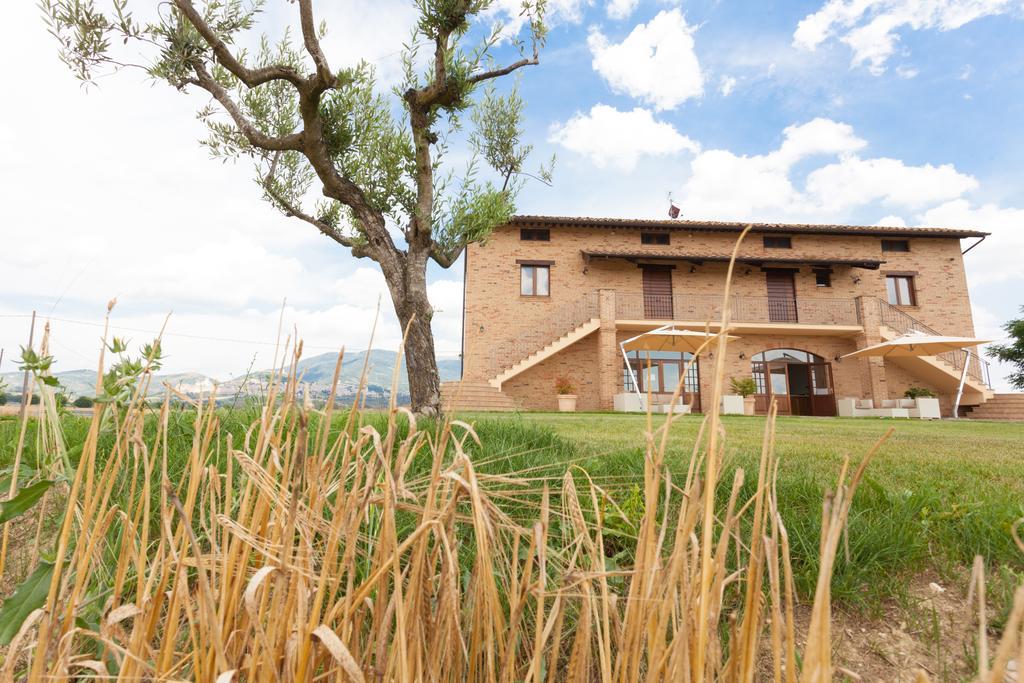 Assisium Agriturismo Екстер'єр фото