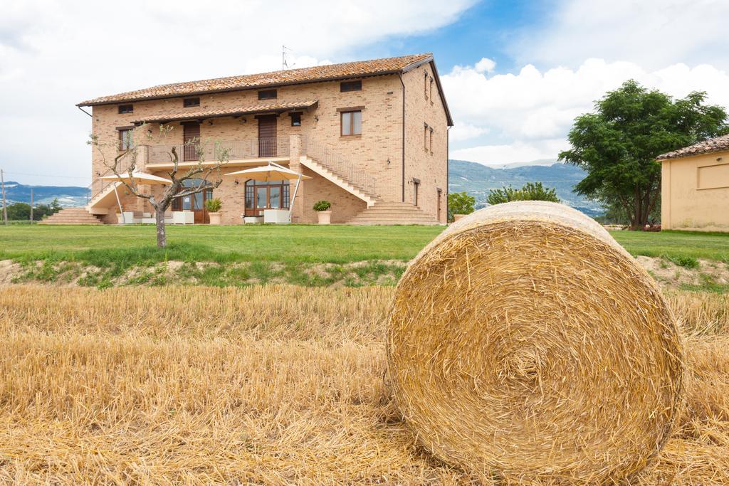 Assisium Agriturismo Екстер'єр фото