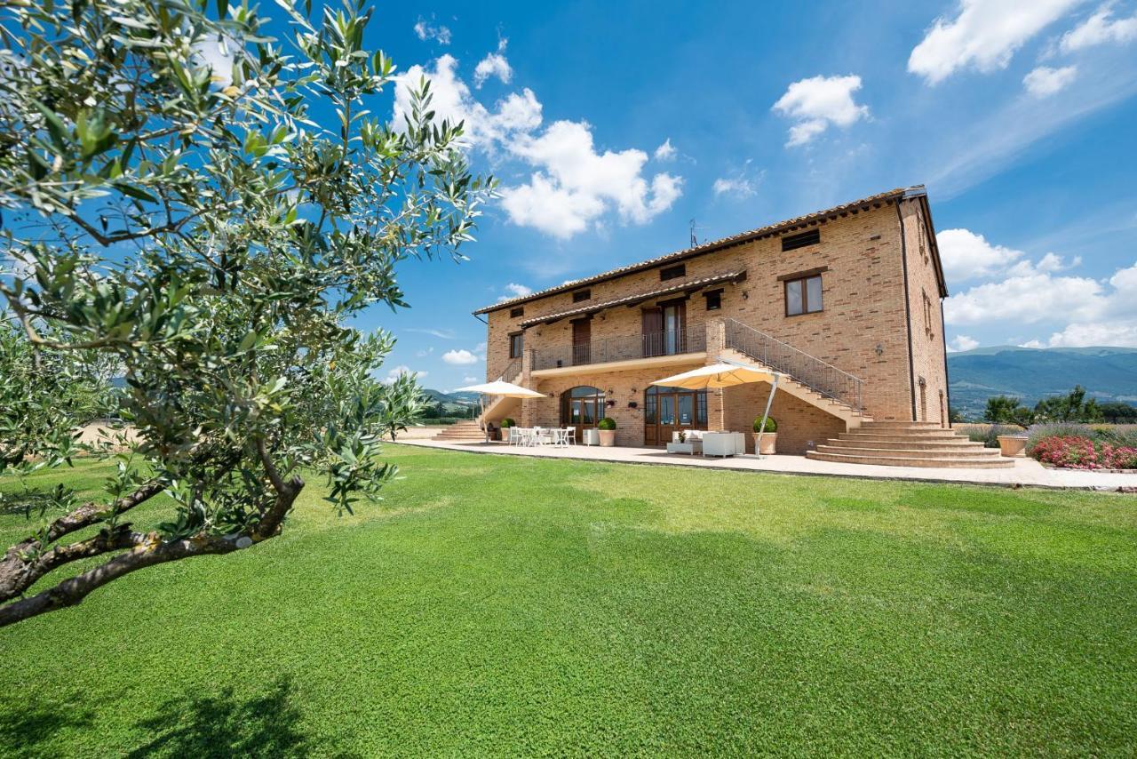Assisium Agriturismo Екстер'єр фото